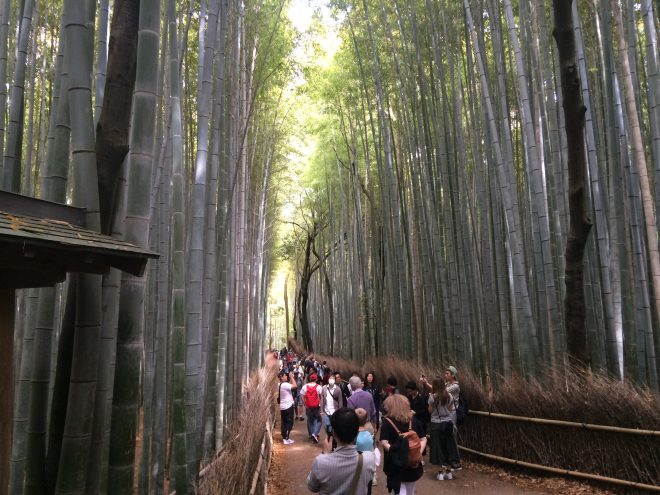 Japan travel Blog